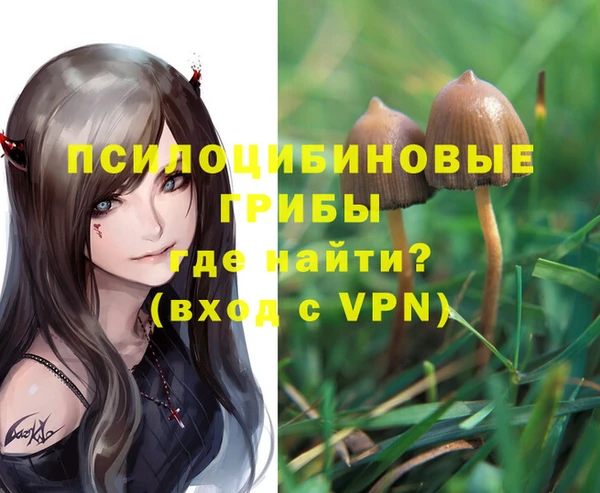 метадон Алексеевка