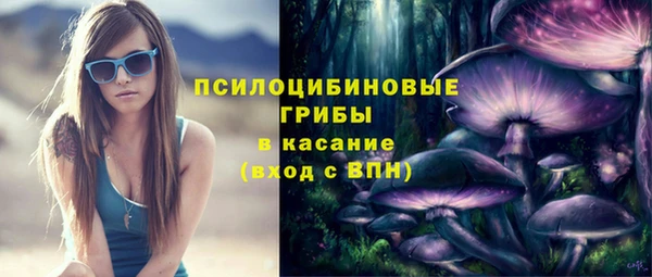 прущие грибы Алексин