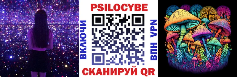 Галлюциногенные грибы Psilocybe  где продают   Кулебаки 